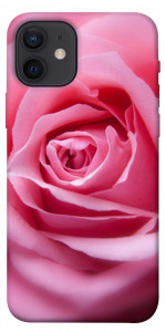 Чехол Pink bud для iPhone 12