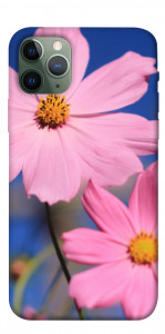 Чехол Розовая ромашка для iPhone 11 Pro