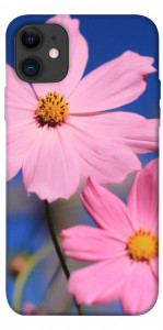 Чехол Розовая ромашка для iPhone 11