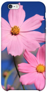 Чехол Розовая ромашка для iPhone 6s (4.7'')