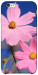 Чехол Розовая ромашка для iPhone 6