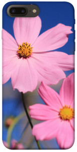 Чехол Розовая ромашка для iPhone 8 plus (5.5")