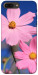 Чехол Розовая ромашка для iPhone 7 Plus