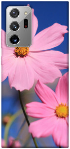 Чехол Розовая ромашка для Galaxy Note 20 Ultra
