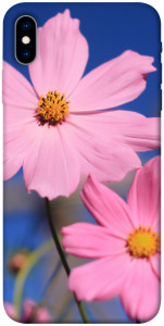 Чехол Розовая ромашка для iPhone X (5.8")