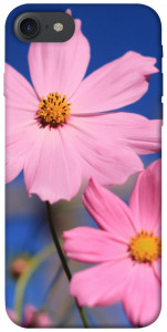 Чехол Розовая ромашка для iPhone 7 (4.7'')