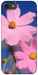 Чехол Розовая ромашка для iPhone 8
