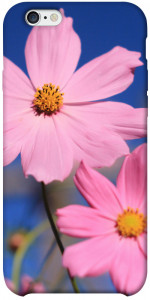 Чехол Розовая ромашка для iPhone 6 plus (5.5'')