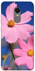 Чехол Розовая ромашка для Xiaomi Redmi Note 5 Pro