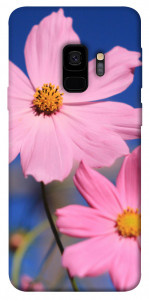 Чехол Розовая ромашка для Galaxy S9