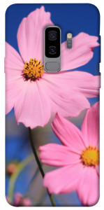 Чехол Розовая ромашка для Galaxy S9+