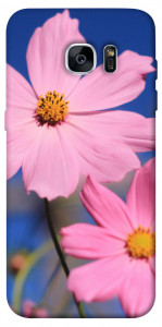 Чехол Розовая ромашка для Galaxy S7 Edge