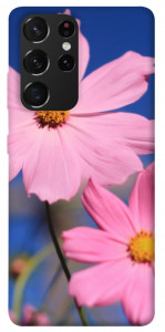 Чехол Розовая ромашка для Galaxy S21 Ultra