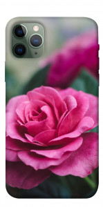 Чехол Роза в саду для iPhone 11 Pro