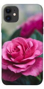 Чехол Роза в саду для iPhone 11