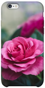 Чехол Роза в саду для iPhone 6s (4.7'')