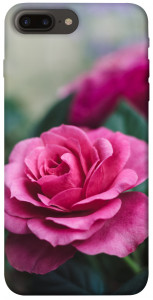 Чохол Троянда у саду для iPhone 8 plus (5.5")