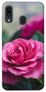 Чохол Троянда у саду для Samsung Galaxy A30