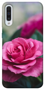 Чехол Роза в саду для Samsung Galaxy A50 (A505F)