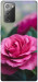 Чехол Роза в саду для Galaxy Note 20