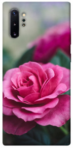 Чехол Роза в саду для Galaxy Note 10+ (2019)