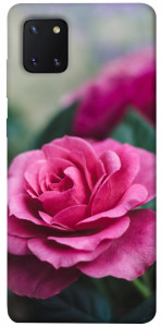Чохол Троянда у саду для Galaxy Note 10 Lite (2020)