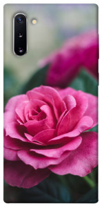 Чехол Роза в саду для Galaxy Note 10 (2019)
