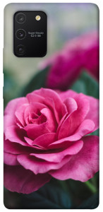 Чехол Роза в саду для Galaxy S10 Lite (2020)