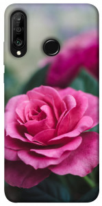 Чехол Роза в саду для Huawei P30 Lite
