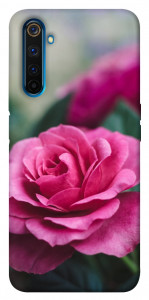 Чехол Роза в саду для Realme 6 Pro