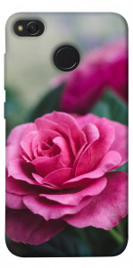 Чехол Роза в саду для Xiaomi Redmi 4X