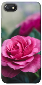 Чехол Роза в саду для Xiaomi Redmi 6A