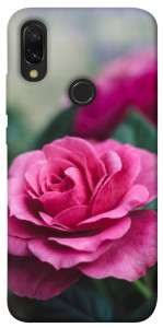Чехол Роза в саду для Xiaomi Redmi 7