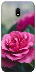 Чехол Роза в саду для Xiaomi Redmi 8a