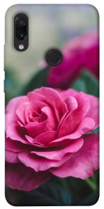 Чехол Роза в саду для Xiaomi Redmi Note 7