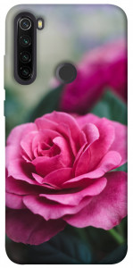 Чохол Троянда у саду для Xiaomi Redmi Note 8T