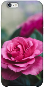 Чехол Роза в саду для iPhone 6s plus (5.5'')