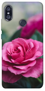 Чехол Роза в саду для Xiaomi Redmi Note 5 Pro
