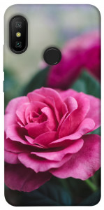 Чехол Роза в саду для Xiaomi Redmi 6 Pro