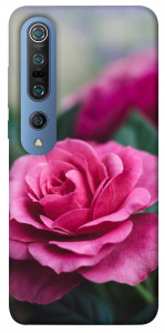 Чехол Роза в саду для Xiaomi Mi 10