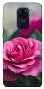 Чехол Роза в саду для Xiaomi Redmi Note 9