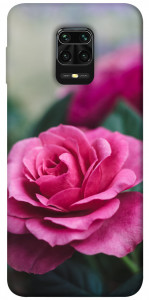 Чохол Троянда у саду для Xiaomi Redmi Note 9 Pro