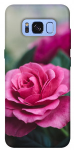 Чехол Роза в саду для Galaxy S8 (G950)