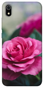 Чехол Роза в саду для Xiaomi Redmi 7A
