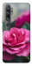 Чехол Роза в саду для Xiaomi Mi Note 10