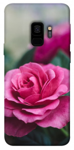 Чехол Роза в саду для Galaxy S9