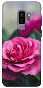 Чехол Роза в саду для Galaxy S9+