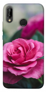 Чехол Роза в саду для Huawei P20 Lite