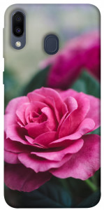 Чехол Роза в саду для Galaxy M20