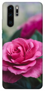 Чехол Роза в саду для Huawei P30 Pro
